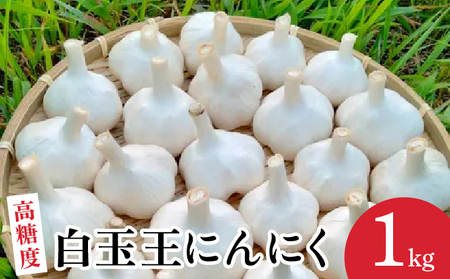 [OLAHO]白玉王にんにく 1kg 30P3224