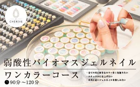 弱酸性バイオマスジェルネイル ワンカラーコース [115P8402]