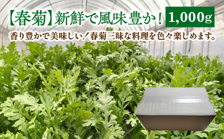 春菊 新鮮で風味豊か! 約1,000g[45P3207]