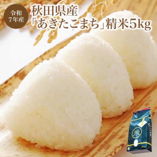 【令和7年産】秋田県産「あきたこまち」精米5kg（5kg×1袋）　【95P9004】