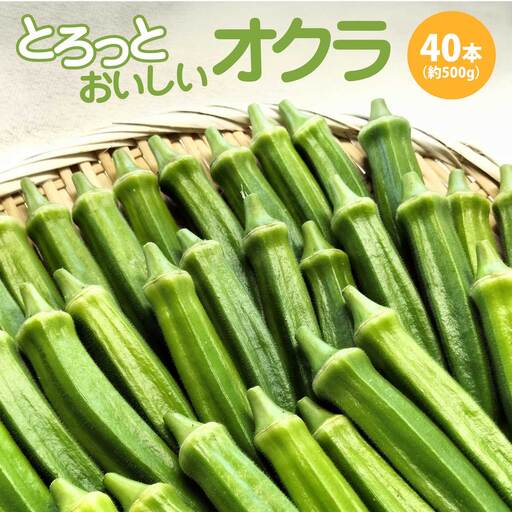 トロッとおいしいオクラ＜40本、約500g＞　40P3223