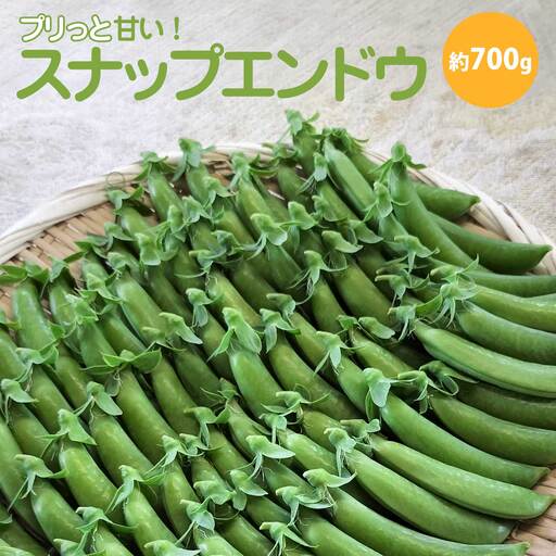 スナップエンドウ プリッと甘い!約700g　【35P3206】