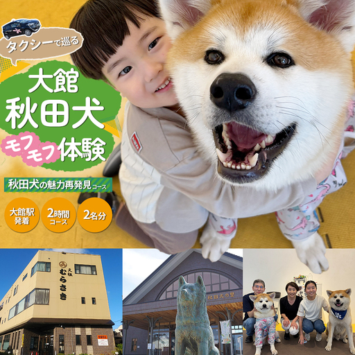 [大館駅発着][手ぶらでOK!タクシー周遊] ふるさとで秋田犬とモフモフな一日 大館秋田犬めぐり[秋田犬の魅力再発見!2時間コース](2名分)[325P8401]
