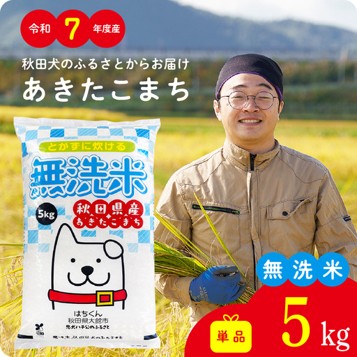《令和7年産》無洗米 あきたこまち 5kg 無洗【真正ファーム】【ふるさと納税3.0】