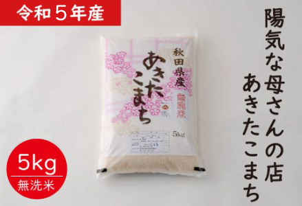40P9012 【令和5年産】【無洗米】あきたこまち5kg（5㎏×1袋）