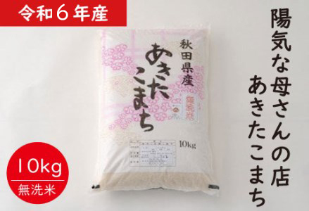 [令和6年産][無洗米]あきたこまち10kg(10kg×1袋) 100P9201