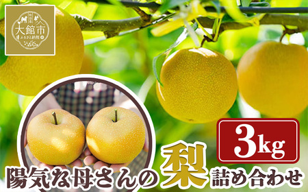 yʌEԌzzCȕꂳ̓X@q7NYulv3kg  50P3425