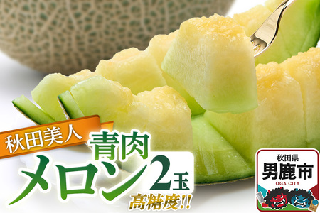 R7年度産 先行受付 メロン2玉（秋田美人） 秋田県 男鹿市