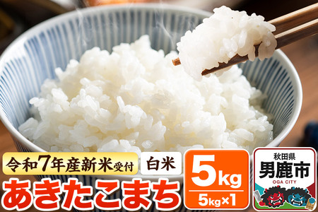 [令和7年産新米受付][白米]あきたこまち 5kg