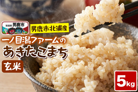 ߘa7NYuHcjskYYv܂iāj5kg