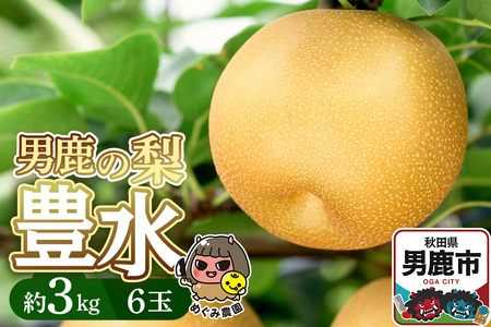 �s��s��t�t�j���̗� �L�� ��3kg 6�� �� �H�c�� �j���s ���߂��ݔ_���� 2026�N9�����{��蔭��