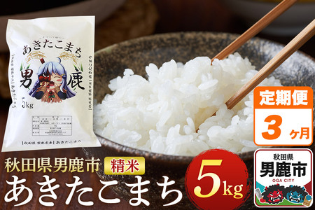 s3tߘa7NY܂  5kg Hc jsY gk ɂ ٓ