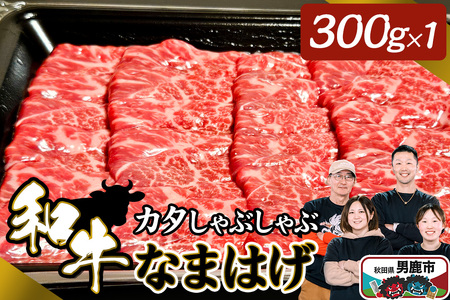 aȂ܂͂ J^Ԃ 300g i_