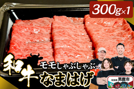 和牛なまはげ モモしゃぶしゃぶ 300g 大進農場