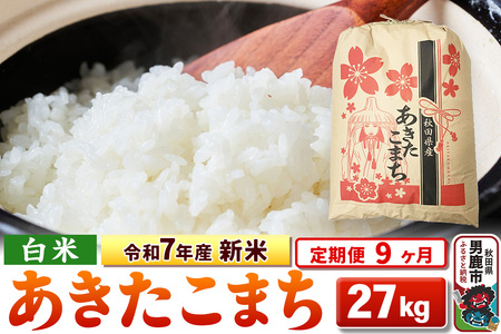 s9tߘa7NY V yāzHcY ܂ 27kg