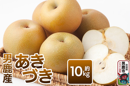 Â 10kg 10{`10{  {̉ʕ Mtg Hc js jt@[