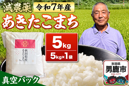  st ߘa7NY ܂ 5kgi5kg×1܁j Hcjs