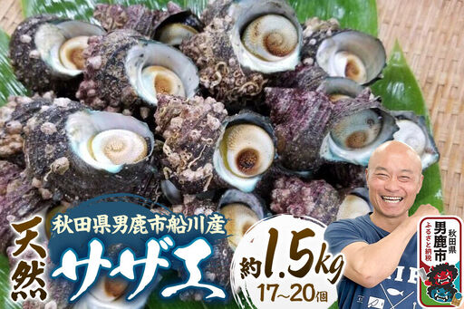 サザエ 約1.5kg 17個〜20個前後入り 秋田県男鹿市 つりショップ海風