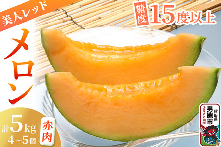 [先行受付]美人レッドメロン 4〜5個 計5kg 甘みじゅうぶんの赤肉メロン 糖度15度以上 ミツバチ交配 秋田県 男鹿市 JAなまはげ