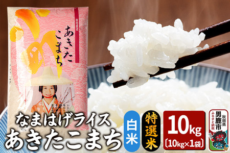 ߘa6NYwȂ܂͂CXx܂ I 10kg  g^X Hc js  ٓ ɂ