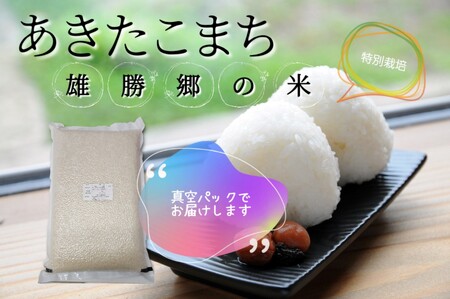 [無洗米]特別栽培米雄勝郷の米5kg×4真空包装[N4-2001]