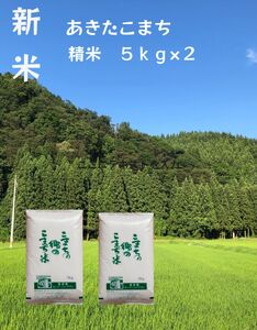 [令和5年産米]特別栽培米 こまちの郷のこまち米 精米 5kg×2袋[B5-12401]
