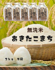 [令和5年産米]特別栽培米 こまちの郷のこまち米 無洗米 2kg×5袋[B7-12401]
