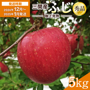 三関りんご 樹上完熟ふじ秀品 5kg[B3210]