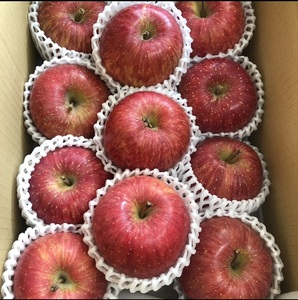 �H�c���Y ��� �ӂ� 3kg �ō��̊Ö��ƍ��� �Y�n�����yBARU�o�C�I�W���p���g��(��)�z[B1-9904]