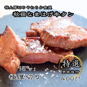牛タン 厚切り牛タン 秋田 なまはげ なまはげ牛タン ギフト 贈答 お取り寄せグルメ 400g[和風ダイニング神楽][H11302]