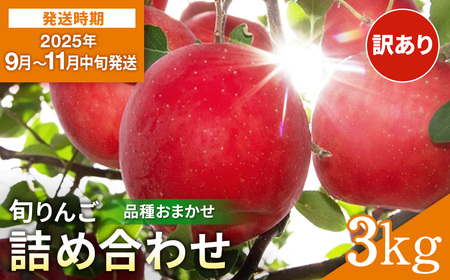 _oג^ 󂠂   i킨܂ ƒp 3kg   VimXC[g VimS[h gL AL^S[h Hcg ̒ Z  W[V[   ь