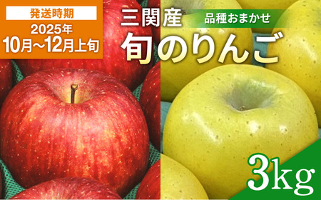 y2025N10`12{zZŃW[V[I O֎Y {  3kg  i킨C ӂ VimXC[g  ̒  ь ͂ ʕ t[c Hc O yO