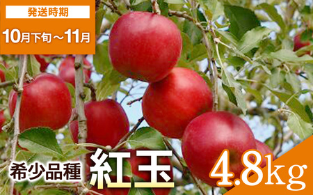 希少価値高い!紅玉 4.8kg りんご 林檎 果物 フルーツ[田村果樹園][B6-10803]