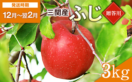 りんご 贈答用 ふじ(サンふじ) 3kg 果物 フルーツ サンふじ[田村果樹園][B2-10802]