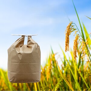 ߘa7NY ܂  5kg HcY sY V   Y сyBARUoCIWpgz[B7-9902]