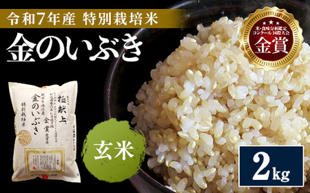 yӂ邳Ɣ[Łzߘa7NY ߂Ă ʍ͔| ̂Ԃ 2kg   _ƒ ܗ𑽐 _RR͔̊|^ ӂ邳 lC LOyn _z[B2105]