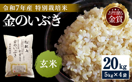 �ߘa7�N�Y�� ��߂Ă������������� ���ʍ͔|�� ���̂��Ԃ� 20kg�i5kg×4�܁j ���� �� �_�ƒ��� ��ܗ𑽐� �_���R�R���̊����͔|�^ �ӂ邳�� �l�C �����L���O�y�n�� �_���z[I4-2101]