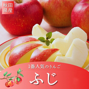 秋田県産 りんご ふじ 訳あり 約5kg 家庭用【BARUバイオジャパン吉村(株)】[B3-9905]