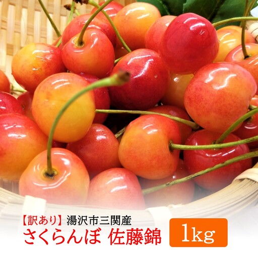 令和8年度産 さくらんぼ（佐藤錦） 訳あり 1kg M～2Lサイズ混合【藤山果樹園】[B6-2802]