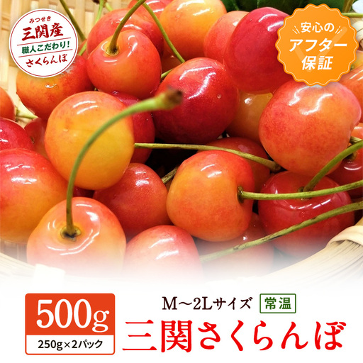 三関産 さくらんぼ 訳あり 500g（250g×2）佐藤錦 紅秀峰 サイズ混合 【藤利果樹園】[B14605]
