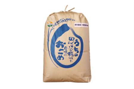 [令和5年産米]特別栽培米 漢方栽培 精米20kg[C2101]