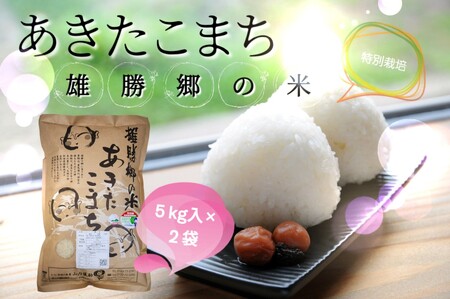 [令和5年産米][無洗米]特別栽培米あきたこまち雄勝郷の米10kg[H2003]
