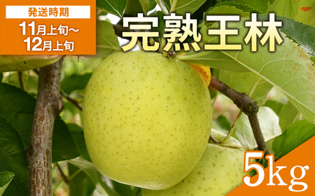 n 5kg  ь ʕ t[cycʎz[B2-10801]