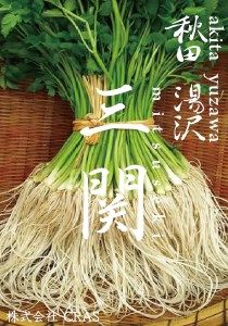 ＼TV青空レストランに登場/ 贅沢 三関産 せり鍋セット 3〜4人前 (せり1kg 比内地鶏鍋つゆ 稲庭うどん 生麺 ) 生産者直送 ご自宅で絶品の しゃぶ が楽しめる ふるさと納税 鶏 ふるさと 人気 ランキング [B7-10901]