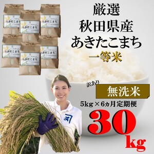 [訳あり]無洗米あきたこまち定期便5kg×6ヵ月[D1-2301]