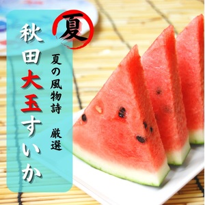 すいか 秋田県産 大玉スイカ 夏丸 家庭 ギフト 旬 夏 贈答 1玉 風物詩 すいか すいか すいか すいか [BARU バイオジャパン吉村株式会社][B3-9903]