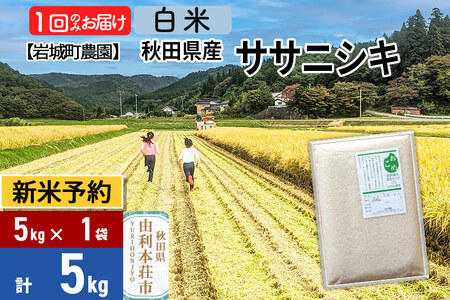 sߘa7NY Vė\tyāzTTjVL 5kg(5kg×1) Hc R{sY ߘa7NY ^pbN 钬_