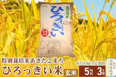 [定期便3ヶ月][玄米] 秋田県産 あきたこまち 5kg 令和6年産 特別栽培米 ひろっきい米