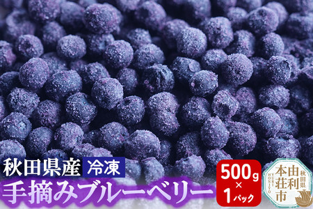 秋田県産 手摘み冷凍ブルーベリー 500g×1パック