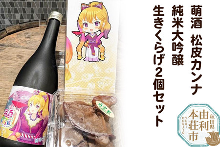 萌酒〜ゆりほん娘〜 松皮カンナ 純米大吟醸(720ml×1本)生きくらげ(100g×2個)セット